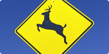 a road sign cautioning drivers to look out for deer