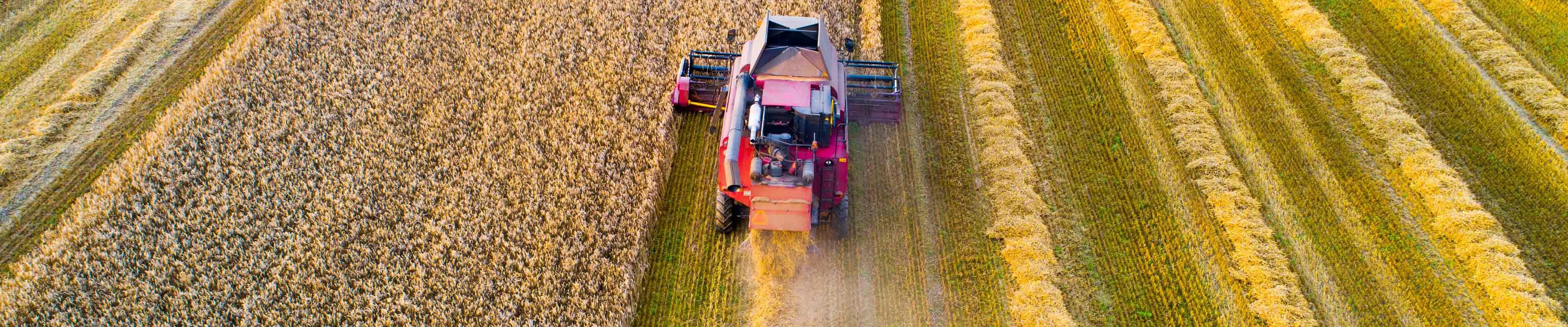 Image of a tractor harvesting a crop.