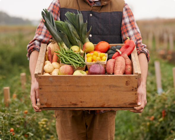 A hobby farmer holding a box of fresh produce.
